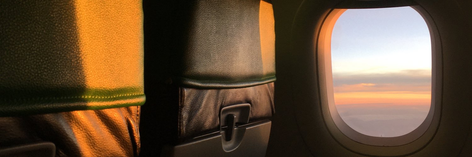 notreree's profile banner image