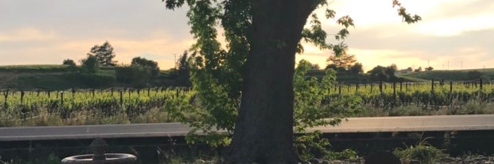 True_JMartinez's profile banner image