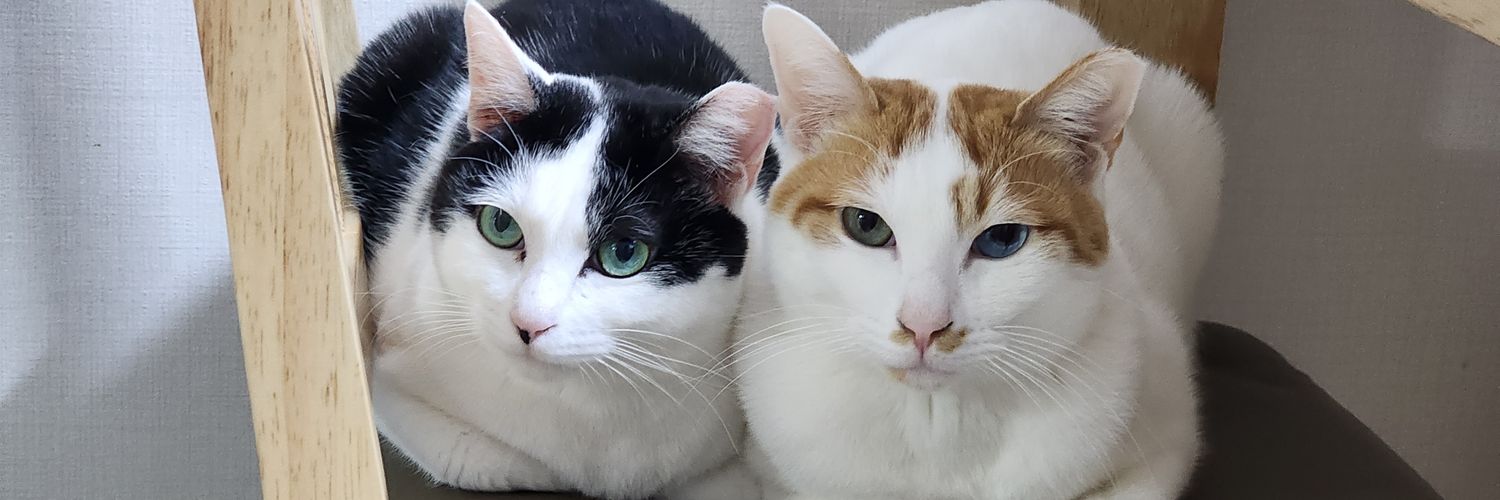 moongreen25's profile banner image
