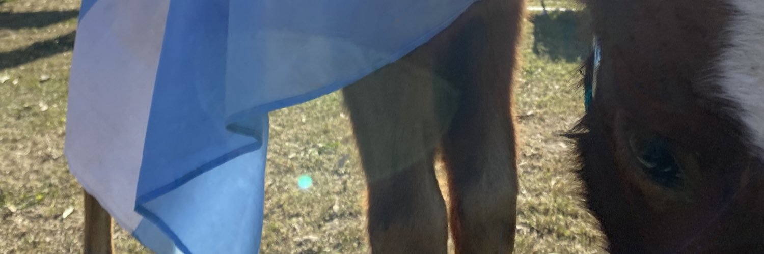 LimontaFranco's profile banner image