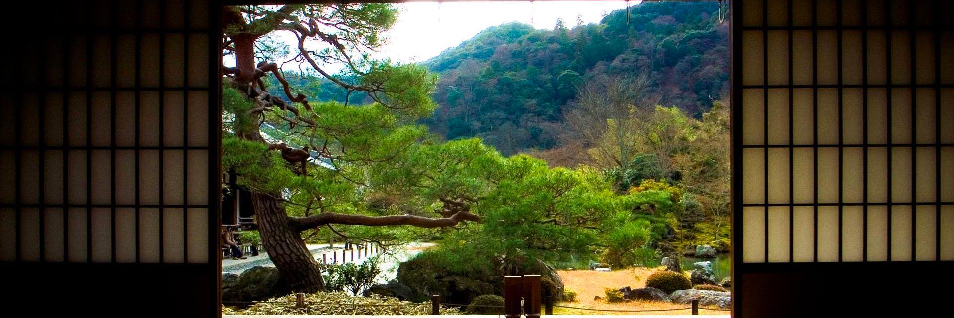 CosmoBotanicals's profile banner image
