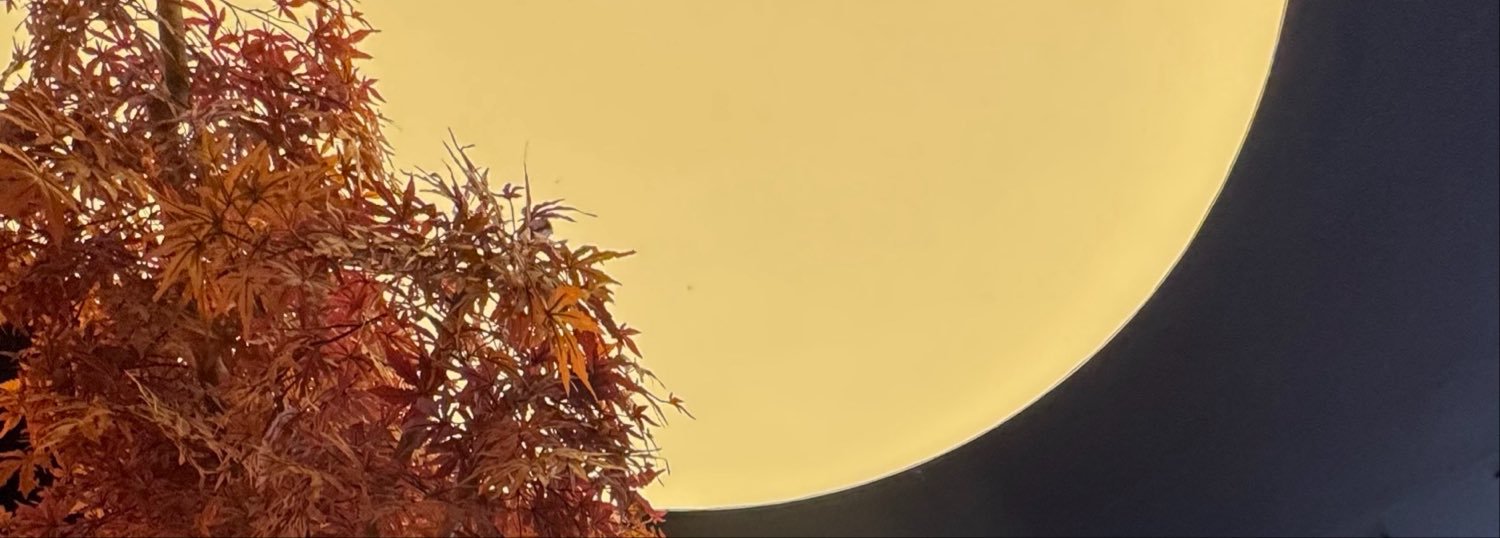 schelk04's profile banner image
