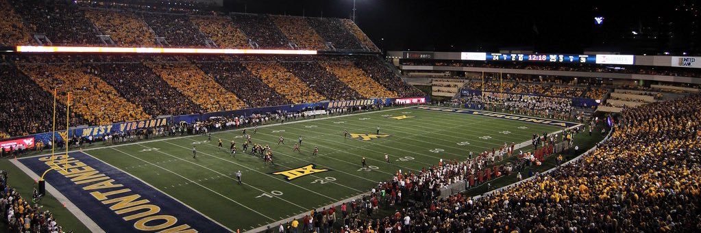 Carson Palmer banner