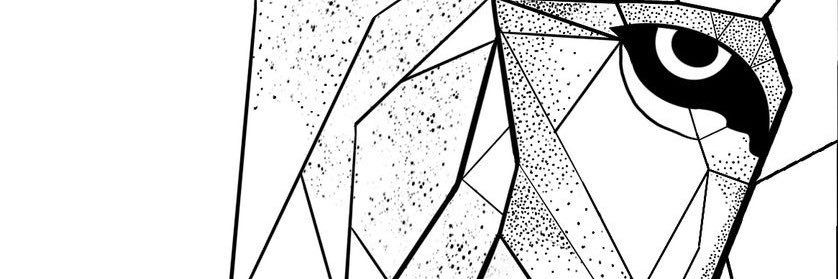 birsenceft's profile banner image