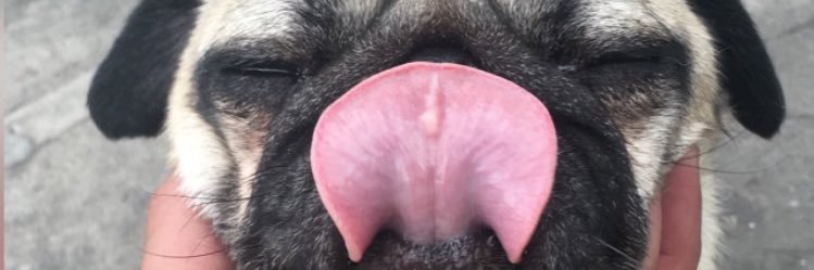 raamig's profile banner image