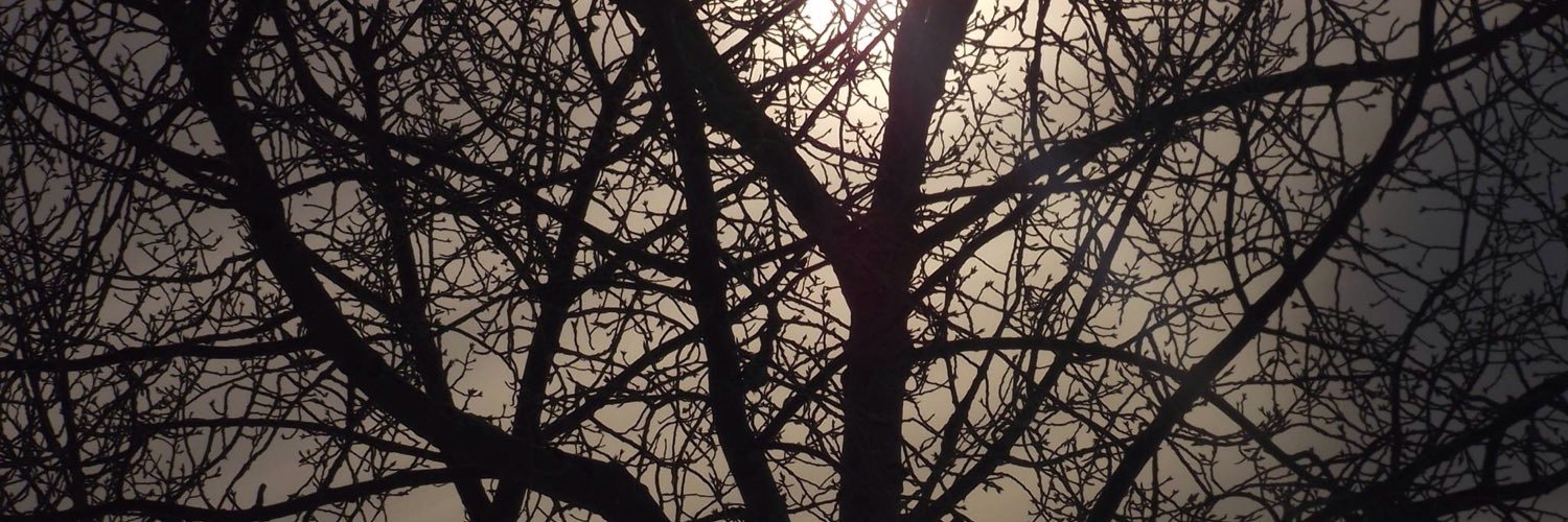DarklingAlex's profile banner image