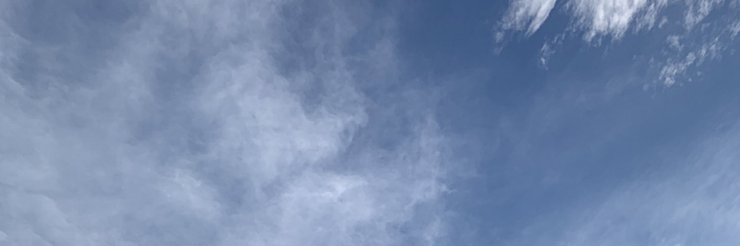 ttoposaurio's profile banner image