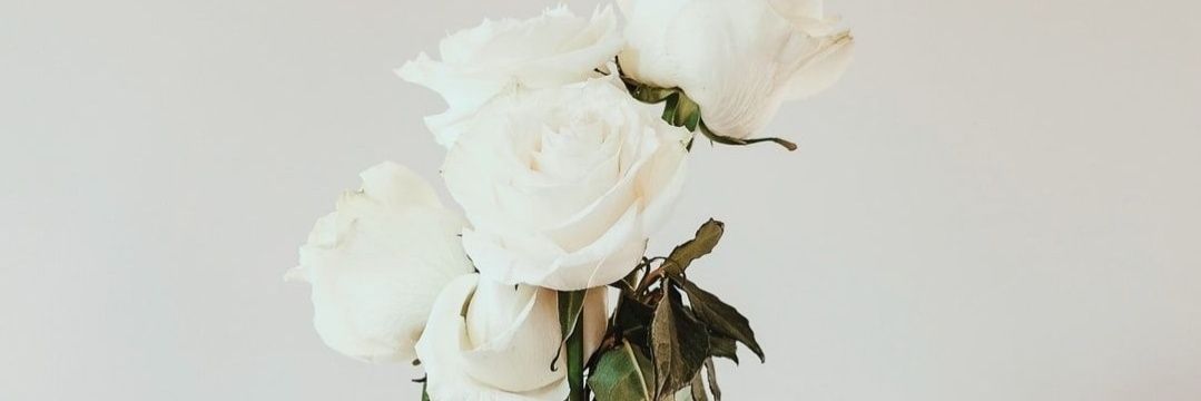 leennzrr's profile banner image