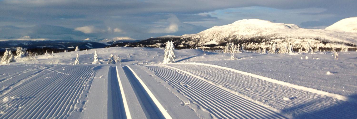 Marius Bratterud banner