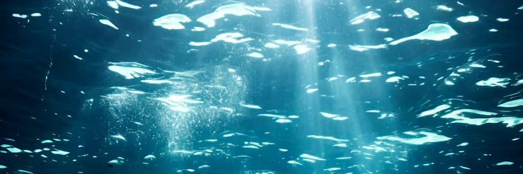 茶野子@取引垢 banner