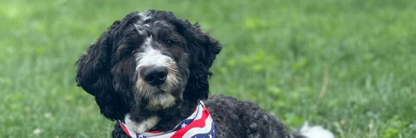 MichaelDFMunro Profile Banner