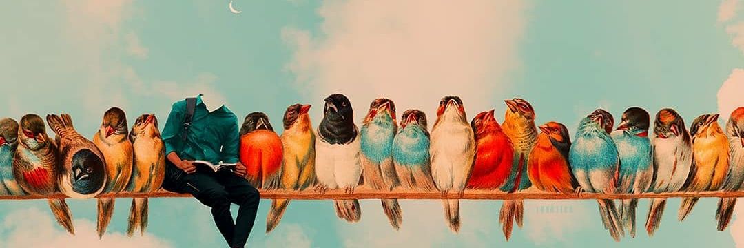 reholi's profile banner image
