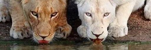 cmurdok8285's profile banner image
