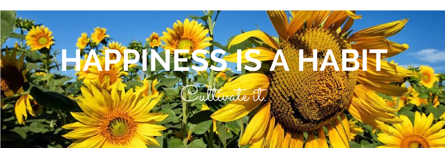 SheWrites4Food's profile banner image