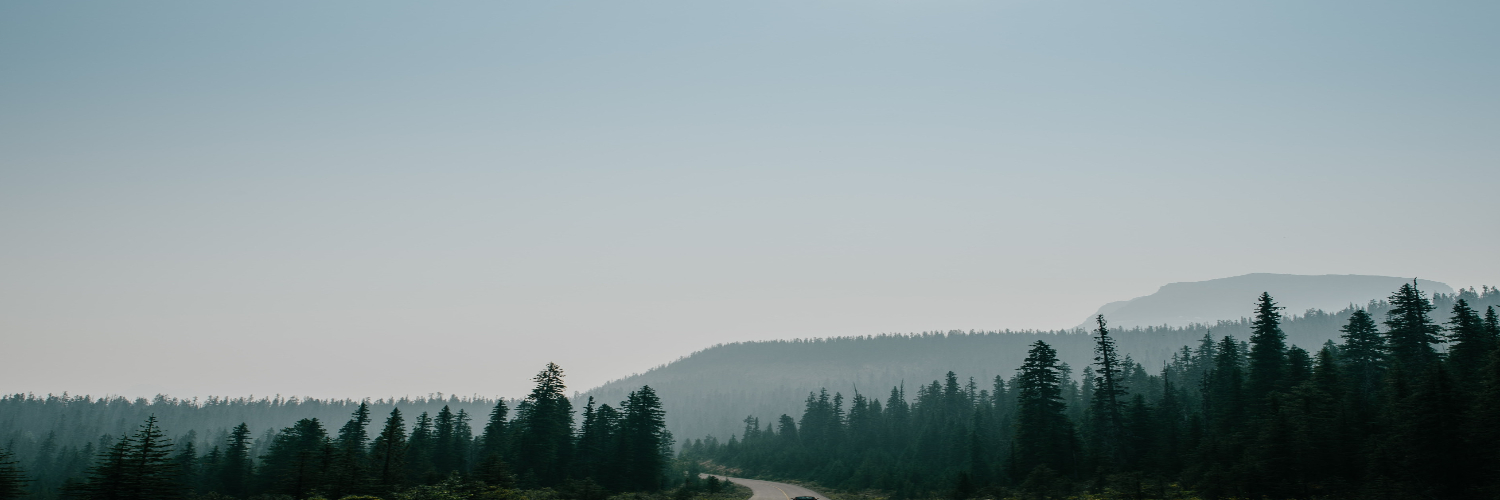 venicejoel's profile banner image