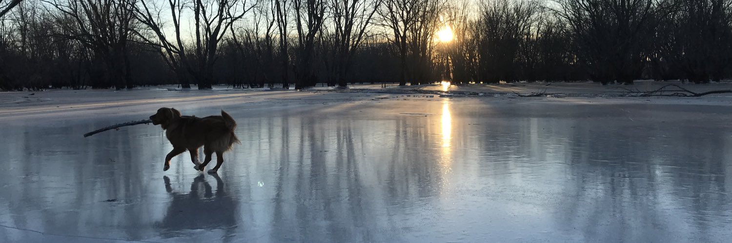 AlecBoudreau's profile banner image