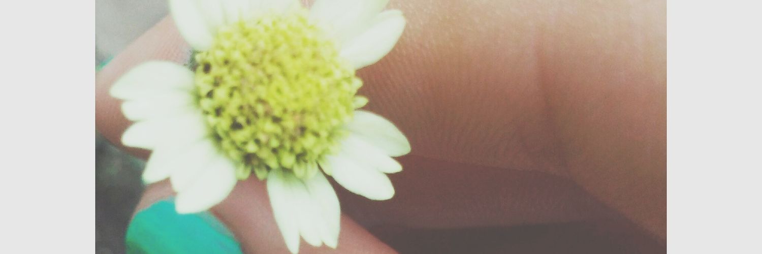 msleon09's profile banner image
