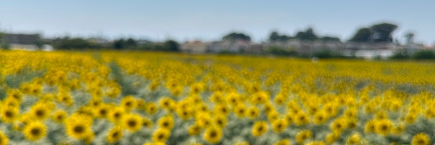 iciiit's profile banner image