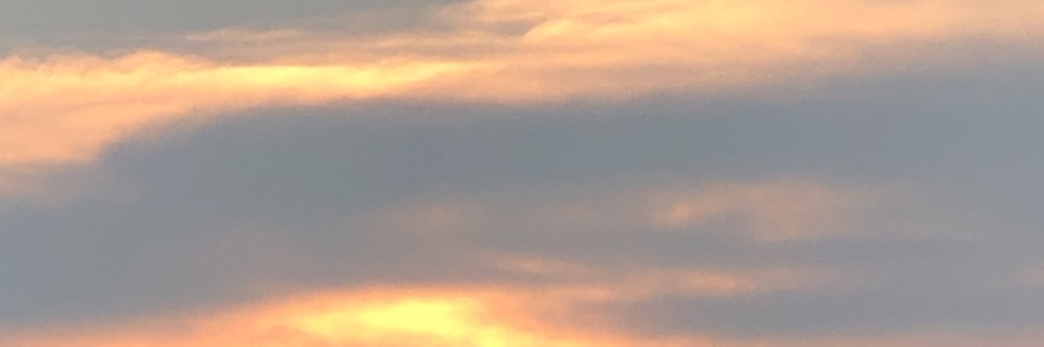 okpw_z's profile banner image