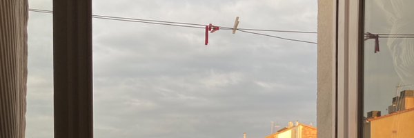 nausicaahs Profile Banner