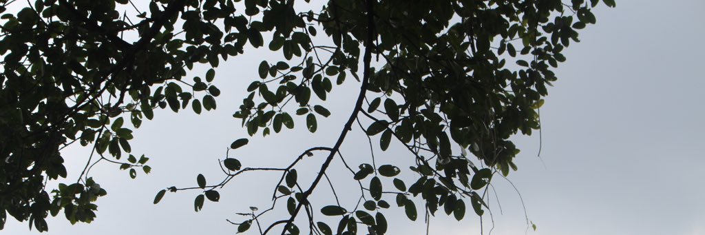 gamyhw's profile banner image