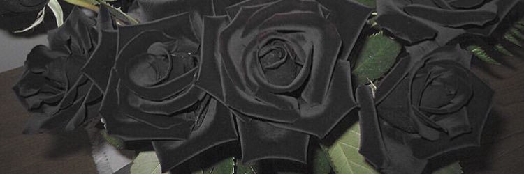 Su_ga_BTS's profile banner image
