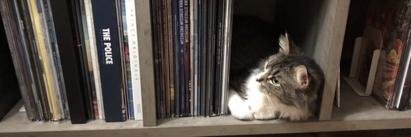 HowardtheDuck95 Profile Banner