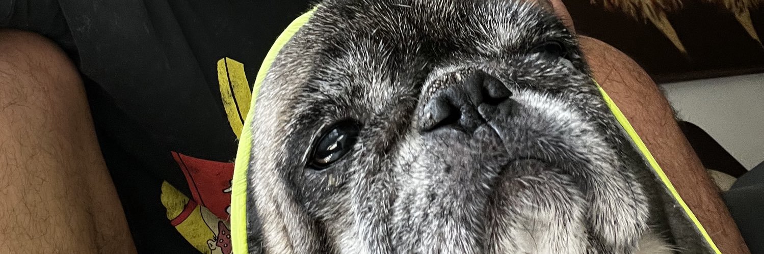 mangusmango's profile banner image