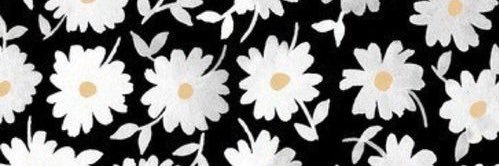 jnnyloh's profile banner image