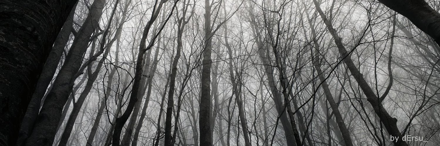 dErsu_'s profile banner image