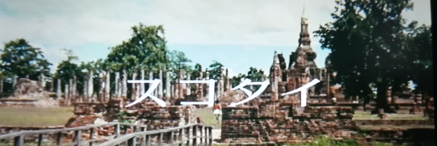 マイペンサパロット banner