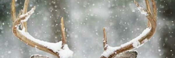 Hinton09 Profile Banner