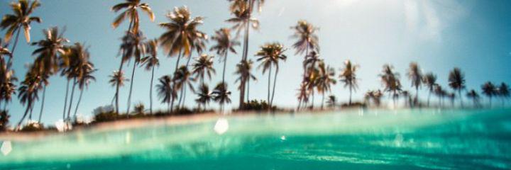martafakaa's profile banner image