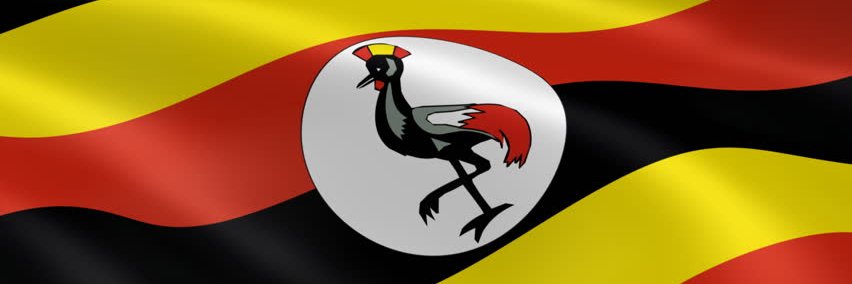 HNkugwa's profile banner image