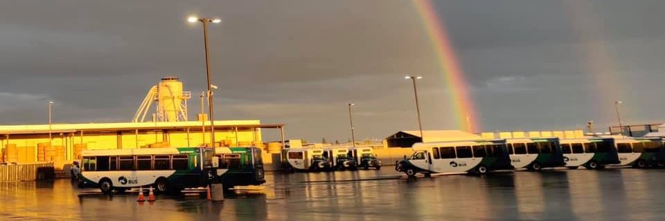 mercedthebus's profile banner image