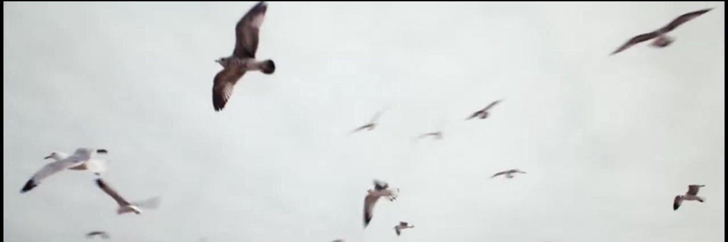 Hallumka's profile banner image