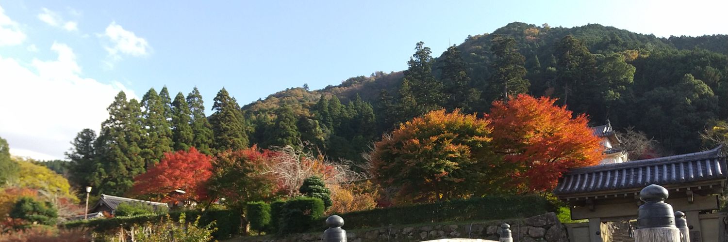 TTYOKAHYG's profile banner image