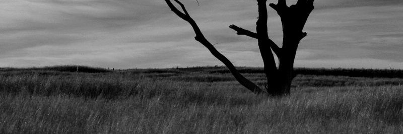 Hopekavanagh10's profile banner image