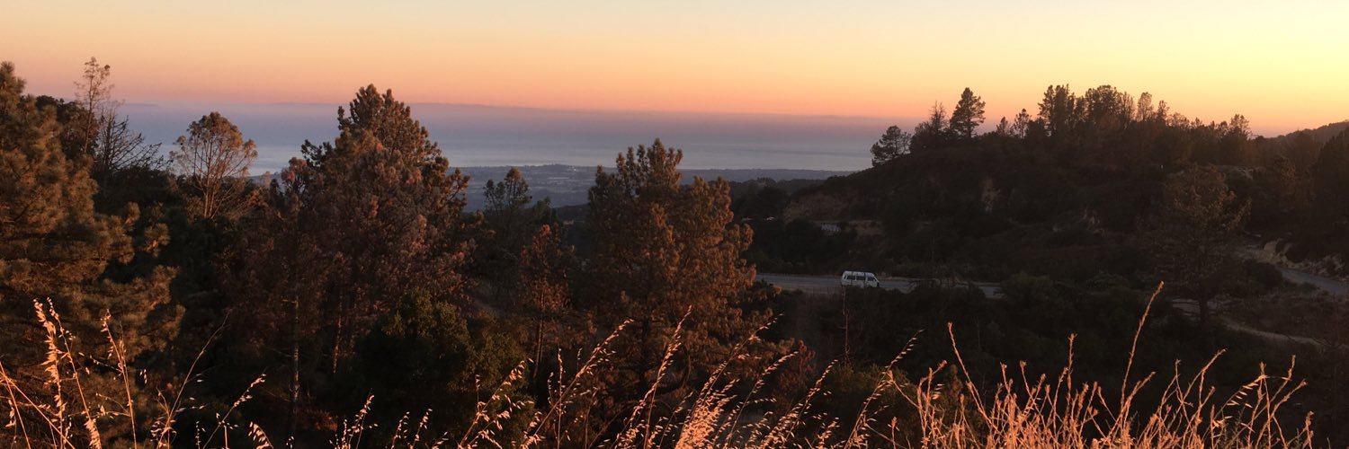 Deeeeniice's profile banner image