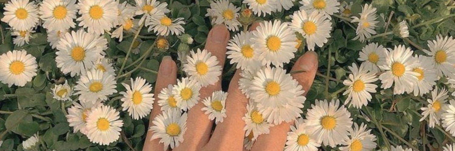 fofi_2023's profile banner image