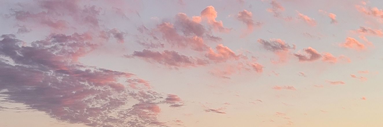 nylas_'s profile banner image