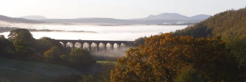 Llanerchindda Farm banner