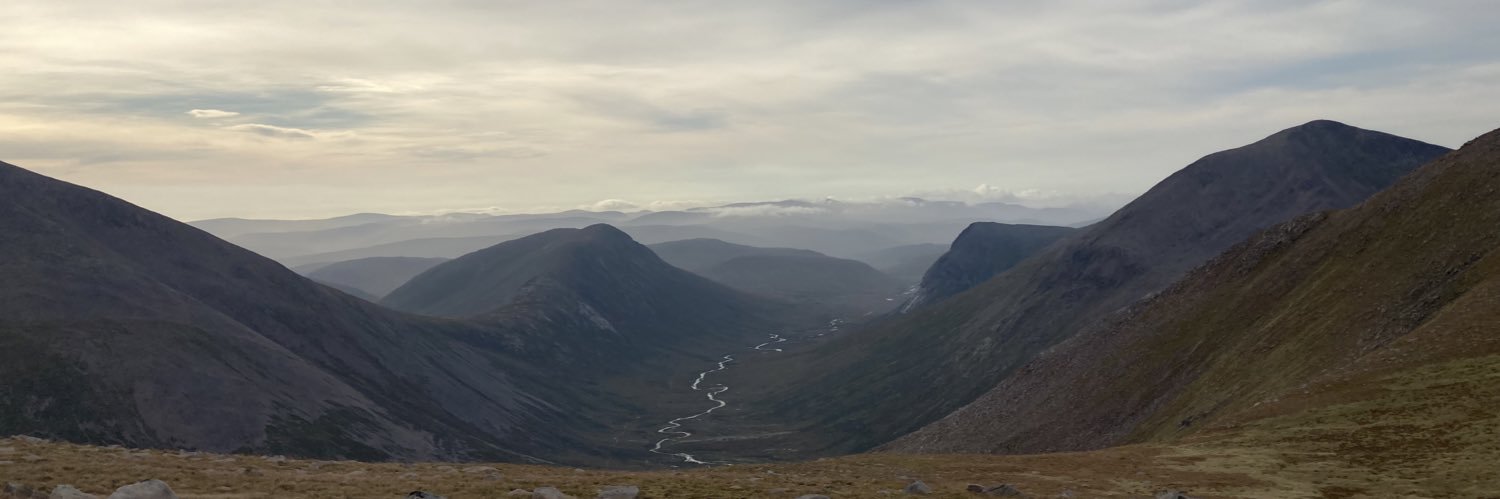 bear_kp's profile banner image