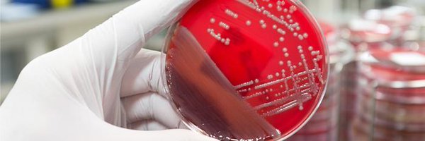 accpinfdprn Profile Banner