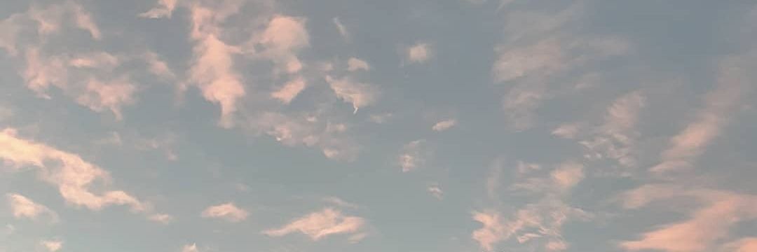 chae__JJae's profile banner image
