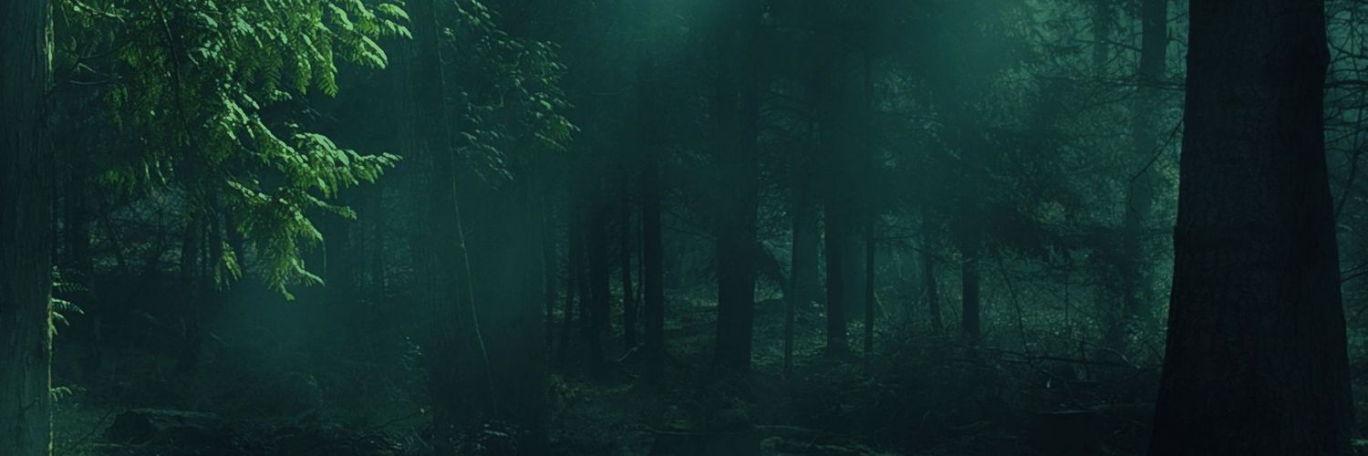 Александр (Антей_LA) banner