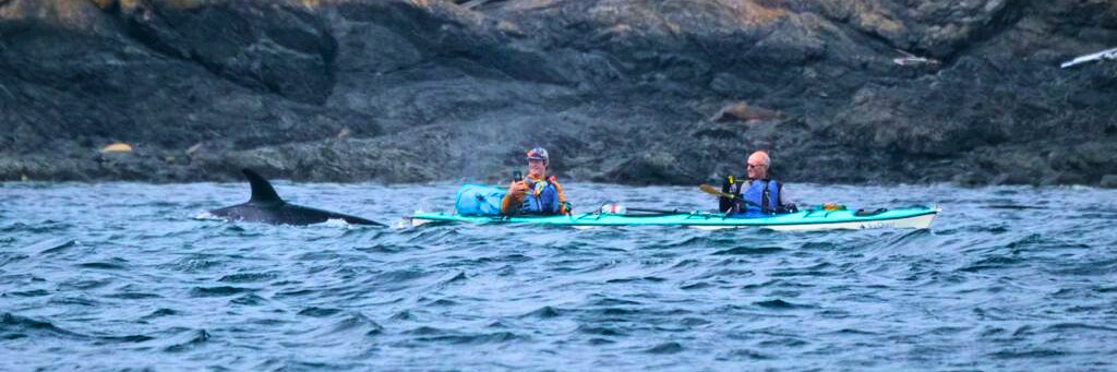 SeaQuestKayak's profile banner image