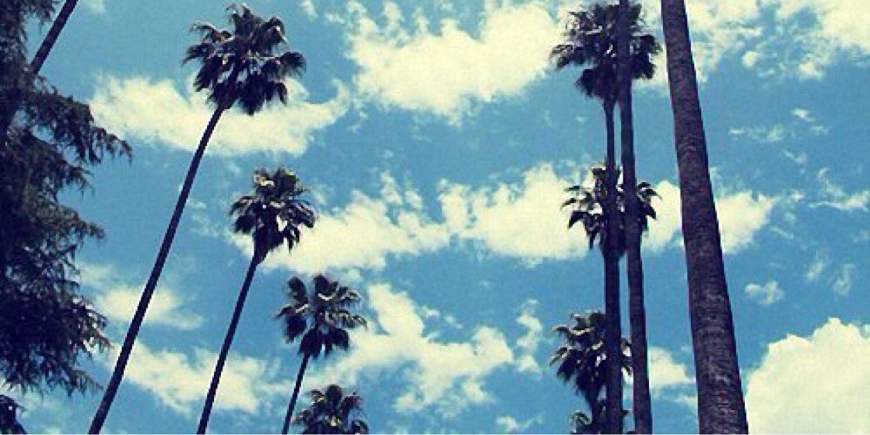 Thamar_XxX's profile banner image