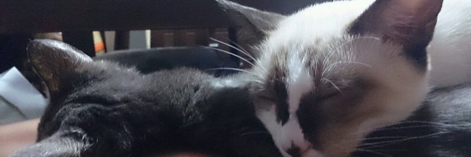deeppink77's profile banner image