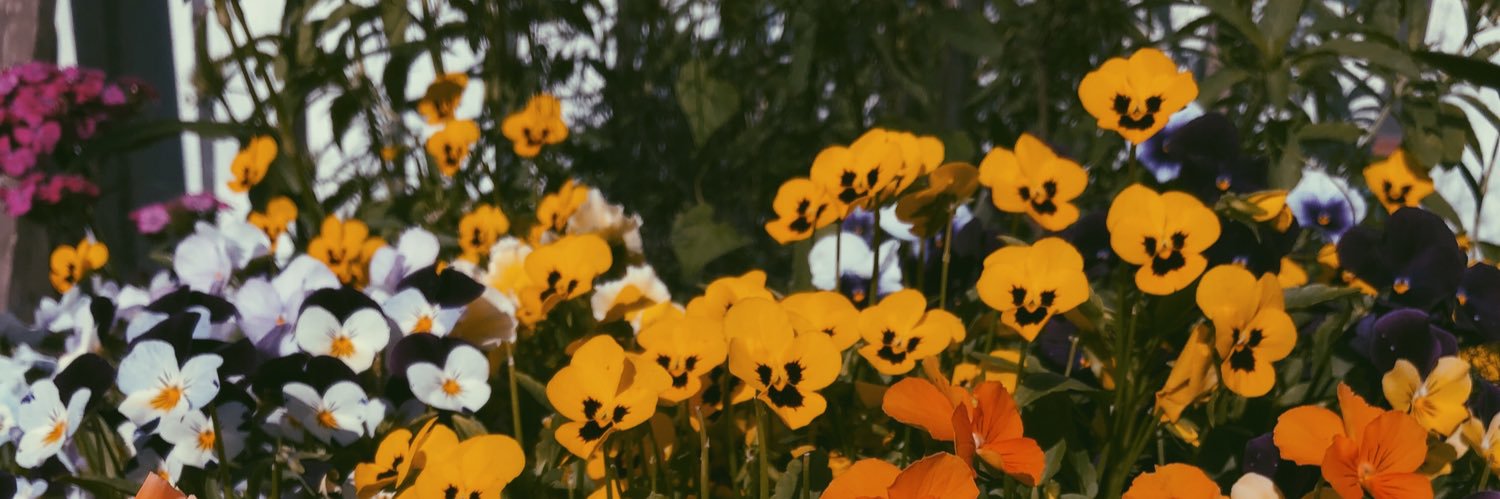 darbyratz's profile banner image